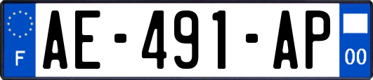 AE-491-AP