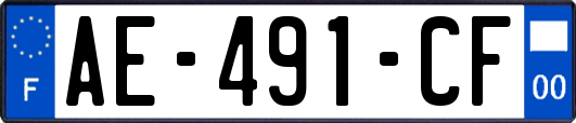 AE-491-CF