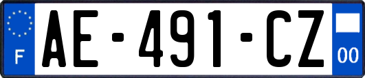 AE-491-CZ