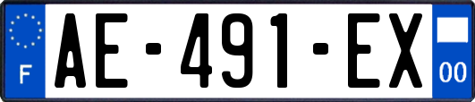 AE-491-EX