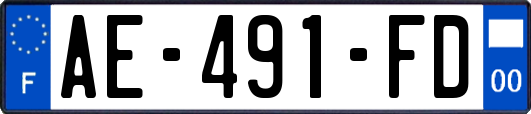 AE-491-FD