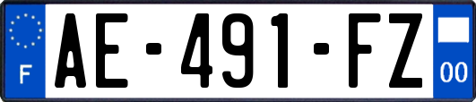 AE-491-FZ