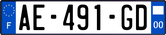 AE-491-GD