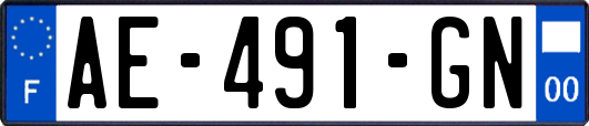 AE-491-GN