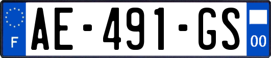 AE-491-GS