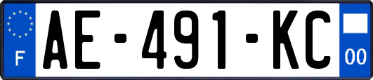 AE-491-KC
