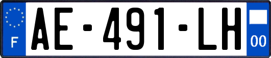 AE-491-LH