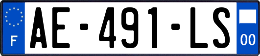 AE-491-LS