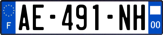AE-491-NH