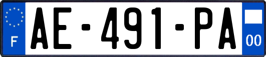 AE-491-PA