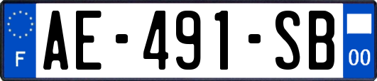 AE-491-SB