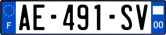 AE-491-SV