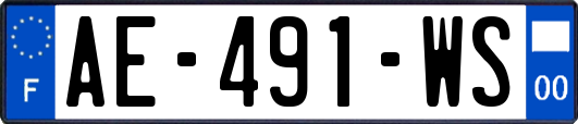 AE-491-WS