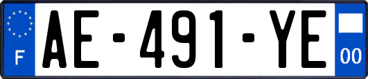 AE-491-YE
