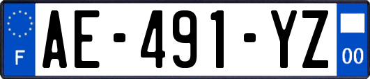 AE-491-YZ