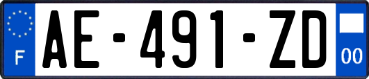 AE-491-ZD