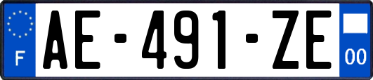 AE-491-ZE