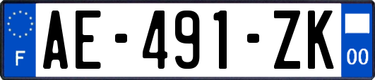 AE-491-ZK