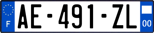 AE-491-ZL