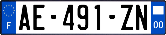 AE-491-ZN