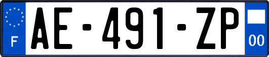 AE-491-ZP