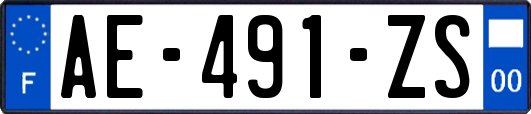 AE-491-ZS