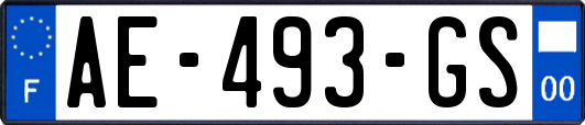 AE-493-GS
