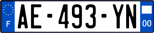 AE-493-YN