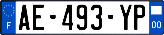 AE-493-YP