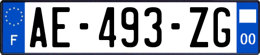 AE-493-ZG