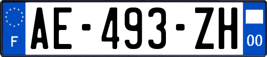 AE-493-ZH