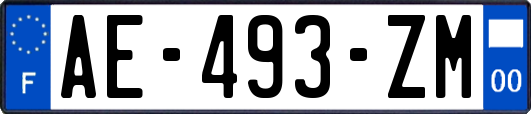 AE-493-ZM