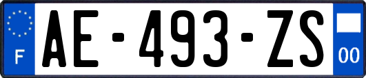 AE-493-ZS