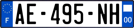 AE-495-NH