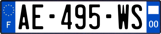 AE-495-WS