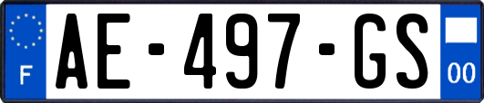 AE-497-GS