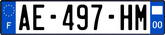 AE-497-HM