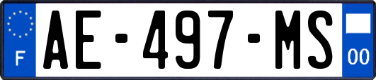 AE-497-MS