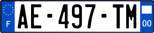 AE-497-TM