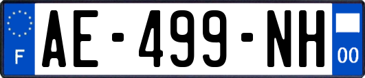 AE-499-NH