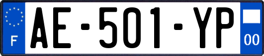 AE-501-YP