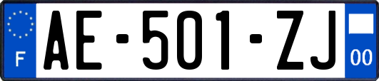 AE-501-ZJ