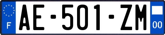 AE-501-ZM