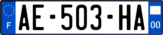 AE-503-HA