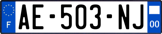 AE-503-NJ