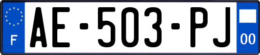 AE-503-PJ