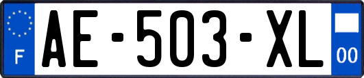 AE-503-XL