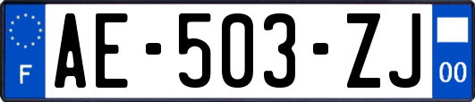 AE-503-ZJ