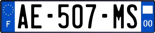AE-507-MS