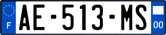 AE-513-MS